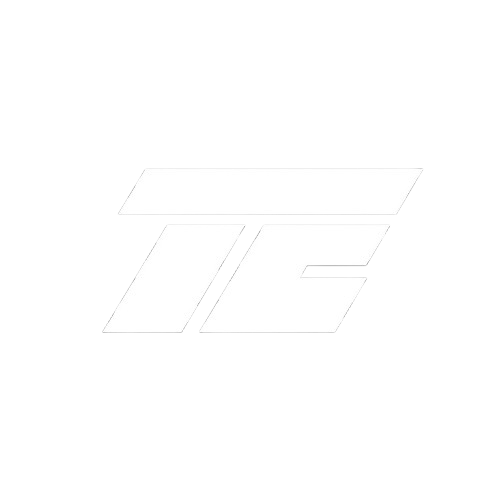 TE_White_Logo-removebg-preview 1