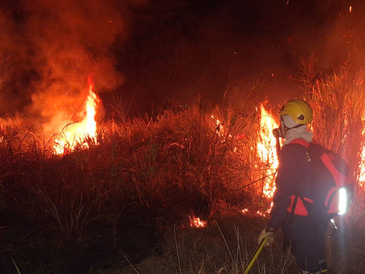 Dos grandes incendios forestales en la ciudad, fueron extinguidos por Bomberos