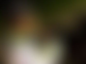 Agentes de tránsito continúan combatiendo los piques ilegales en Ibagué