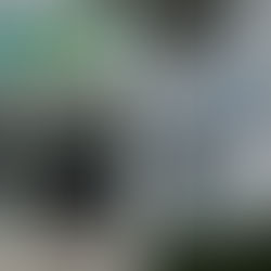 Cruz Verde pone fin al contrato de dispensación con Sanitas EPS