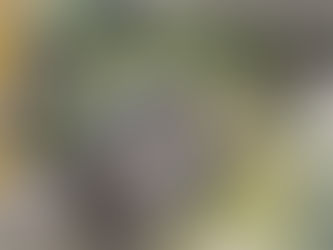 Dos personas mueren en accidente vial en el Tolima