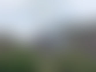 Incendios forestales en Tolima dejan más de 80 hectáreas afectadas esta semana