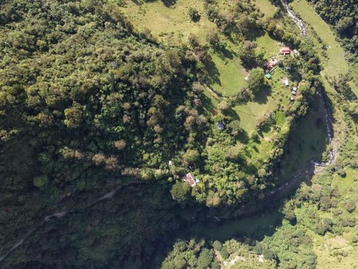 Ibagué ha protegido 154 hectáreas de reserva natural durante 2026