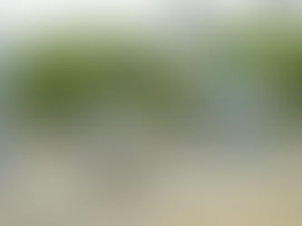 Ingreso al Parque Deportivo cambiará parcialmente por obra en acceso principal