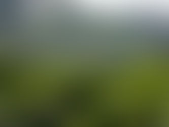 Productores cafeteros de Nariño y Tolima buscan acuerdos directos con Europa