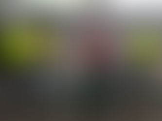 Asegurados ‘Los Cuatreros’, estarían implicados en el hurto de ganado en Tolima