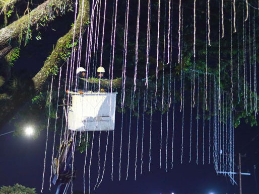 Así será la ruta del alumbrado navideño en Ibagué