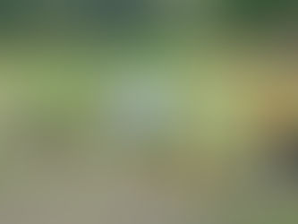 Comfenalco Tolima busca a las futuras estrellas del fútbol en el Torneo Semillero 2025