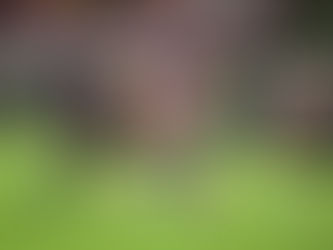 Una final roja se vivirá en Medellín