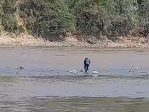 Cuerpo desmembrado y decapitado de una mujer, fue hallado por pescadores del río Magdalena en Tolima