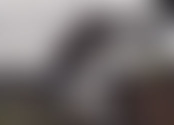 Millonario robo a clínica de ojos en Ibagué