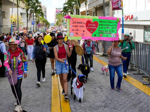Más de 500 perros y gatos participaron en gran desfile por el bienestar animal
