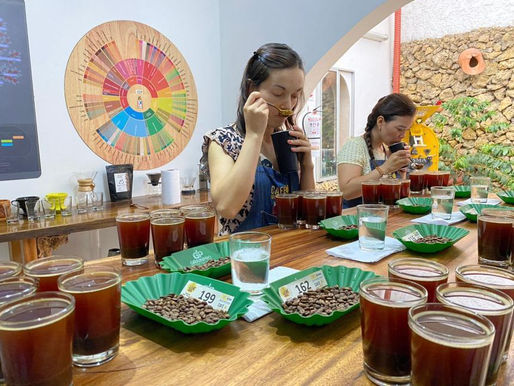 Ya están abiertas las inscripciones para Ibagué Café Festival