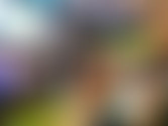 Cerca de 1.700 ibaguereños han hecho parte de la formación artística gratuita este año en Ibagué