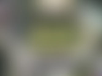 Así será el ingreso y la programación al concierto de cumpleaños de Ibagué en estadio Manuel Murillo Toro