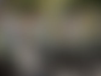 Conozca los cierres de vías para el desfile de este sábado 20 de julio en Ibagué