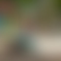 127 parques fueron embellecidos y recibieron mantenimiento