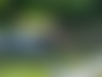 Accidente dejó dos personas muertas en la vía Guamo-Espinal