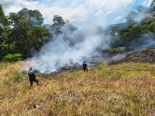 Más de 5.000 emergencias han sido atendidas por el Cuerpo Oficial de Bomberos este año en Ibagué
