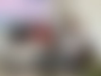 Tecnología satelital permitirá al Ejército reaccionar de manera inmediata en el Tolima