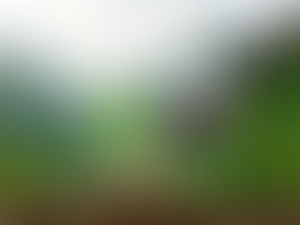 Estas son las profesiones que sobrevivirían al avance de la inteligencia artificial
