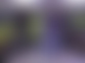 Esta es la indumentaria que usará Colombia en los Juegos Olímpicos París 2024