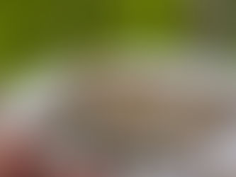 El pescado que debería consumir dos veces por semana