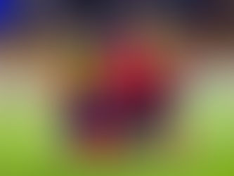 Colombia cada vez más cerca de la final en la Copa América