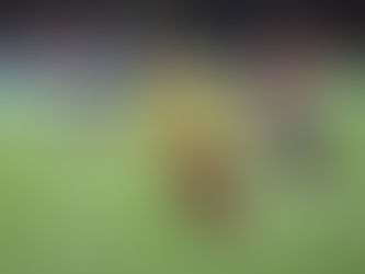 Tolima debe celebrar en Ibagué con una victoria