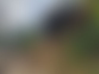 Alcaldía atiende afectaciones en vías de la zona rural ocasionadas por fuertes lluvias