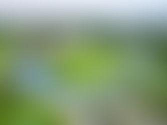 Ibagué tendrá la realización de 5 eventos deportivos este fin del semana