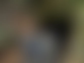 Cierran mina ilegal de oro que generaba $350 millones mensuales en Ibagué