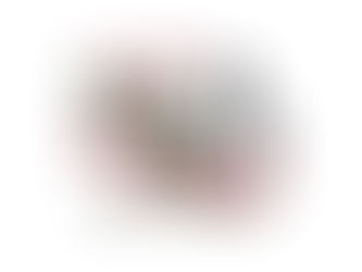 SAN CHÁRBEL: «Bendiciendo y consolando nuestra patria 2027-2028»