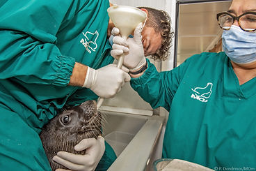 MOm_Rehab_Feeding-1.jpg