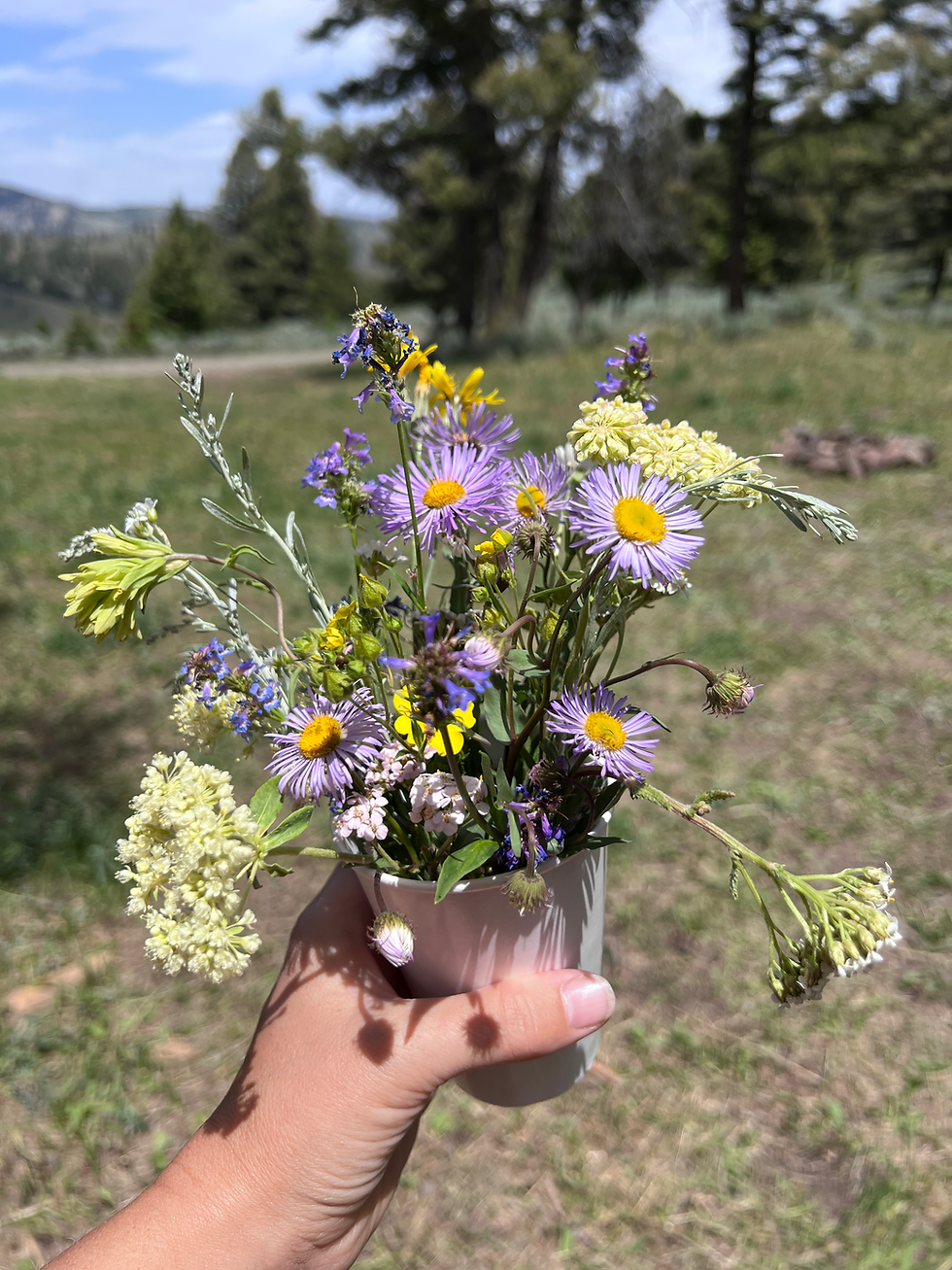 Life Update: Pregnancy and Soaking in Summer