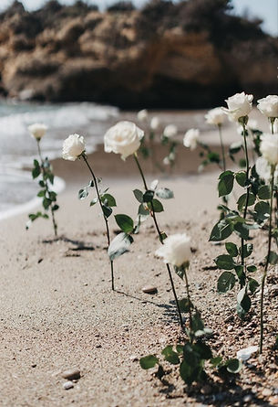 Page 1, object 14.jpg