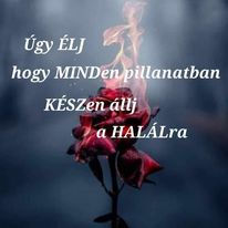 Itt a pillanat