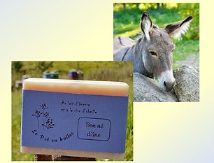 LAIT D'ANESSE print screen 013 (2).jpg