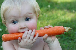 tumblr_n4jmcd4hj21ts520wo1_1280