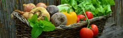 vegetables-752153_960x300