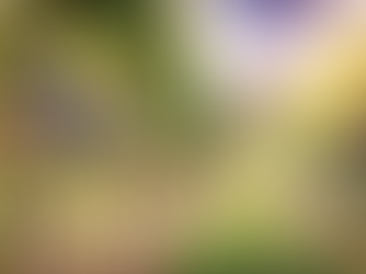 XXIII Domenica dopo Pentecoste
"Custodi della Vigna di Dio: Coltivare la Fede nel Cuore”
