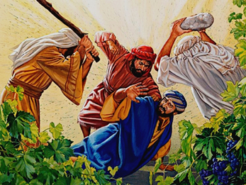 XIII Sunday after Pentecost: The Lord’s Vineyard and the Light That Never Fades.