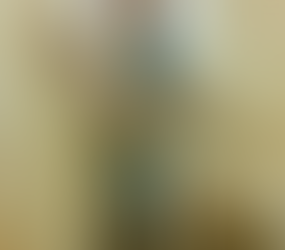 XXIV Sunday after Pentecost:“Go, and do likewise” (Lk 10:37).