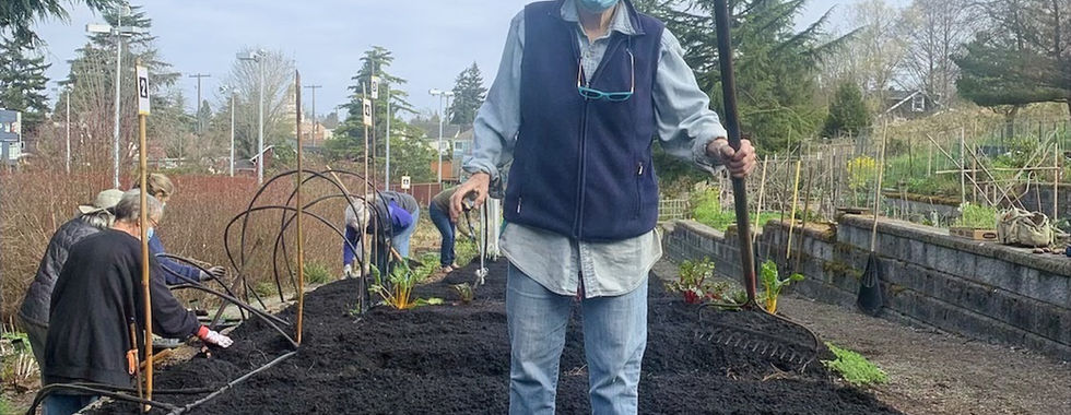Person standing by garden bed