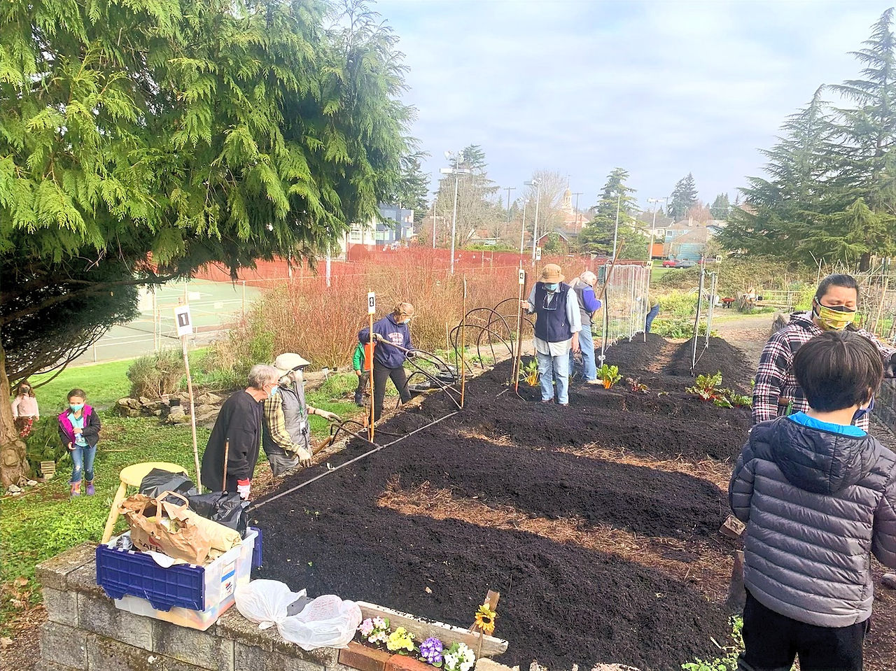 People working on a garden bed