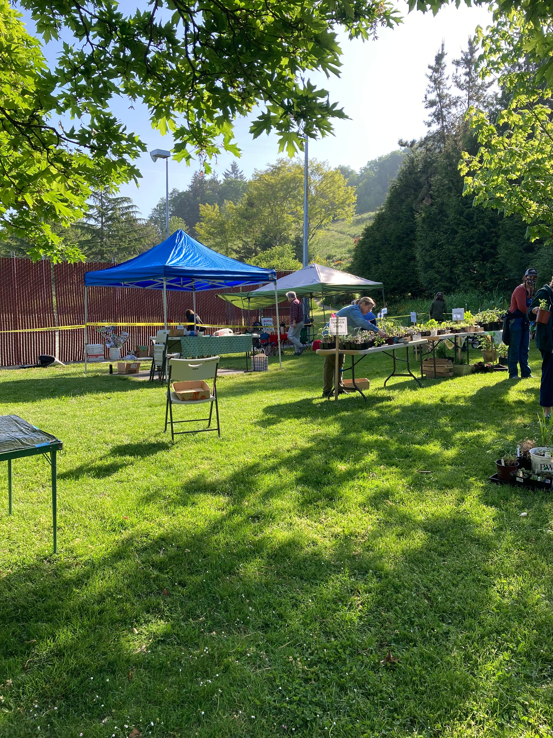 Tents covered checkout tables.