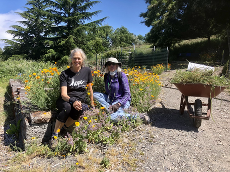 Two gardeners taking a break from weeding; red wheelbarrow full of weeds on their right.