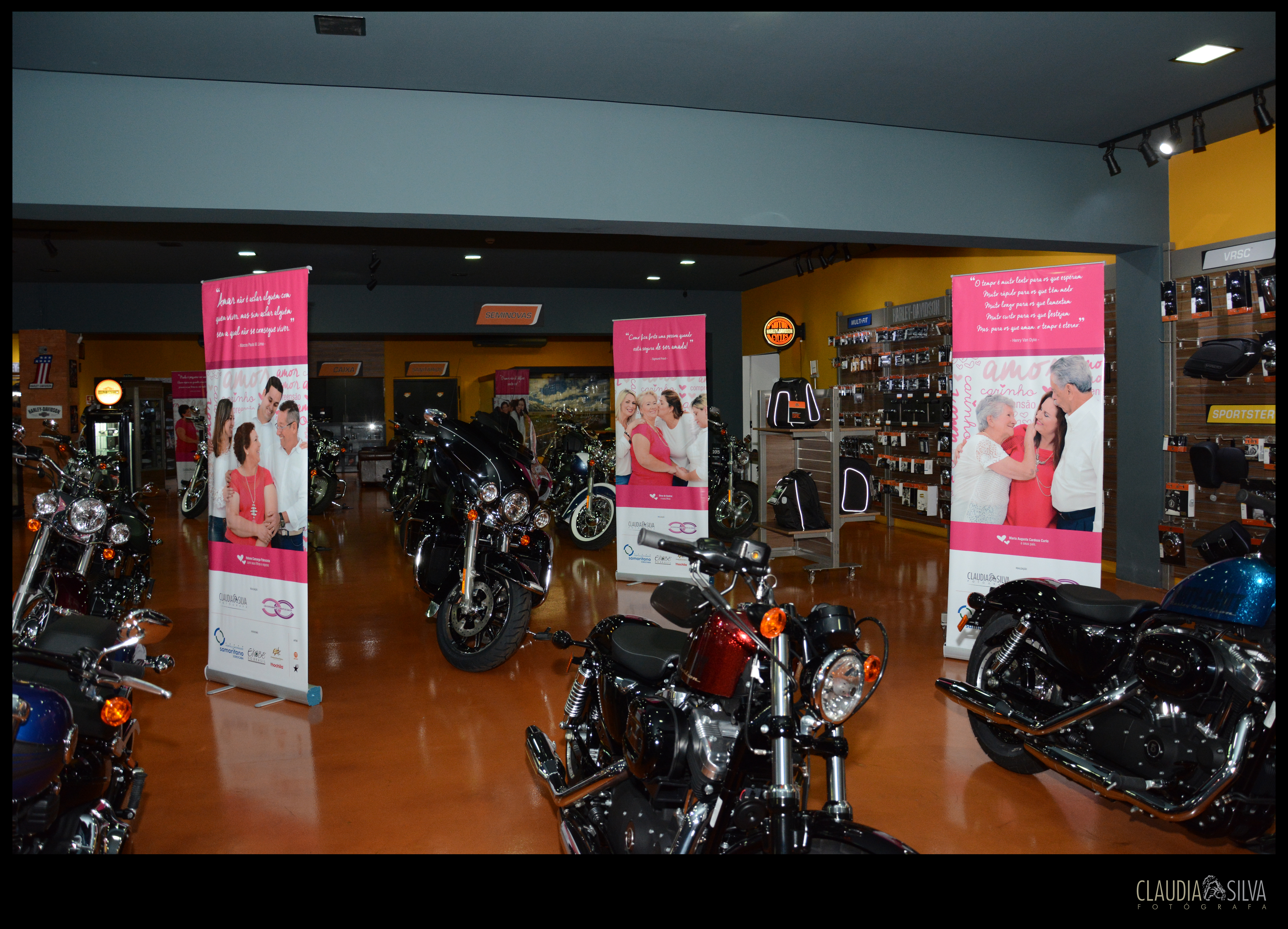 Harley Davidson-2015