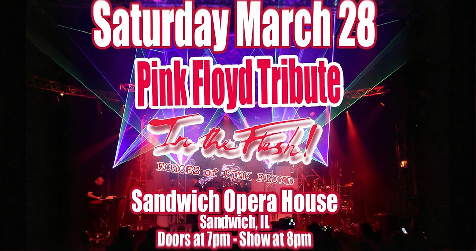 In The Flesh - Echoes of Pink Floyd