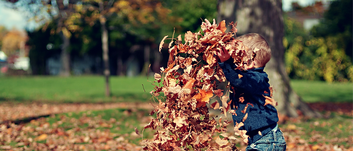 petit garçon qui joue dans les feuilles mortes